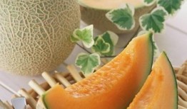 江西网红鹅吃哈密瓜,哈密瓜成新宠！