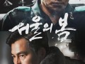 电影首尔在线观看,穿越屏幕的异国恋曲