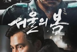 电影首尔在线观看,穿越屏幕的异国恋曲