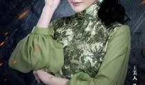 老九门电视剧免费全集在线观看,揭秘民国奇案，探寻神秘家族传奇