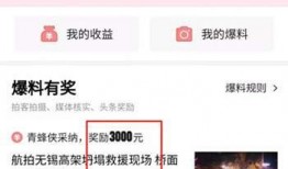 今日头条爆料有效吗吗,揭秘真相，有效与否一探究竟