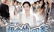 回家在线观看,在线重温温馨家庭时光