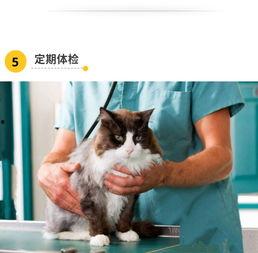 娱乐吃瓜酱猫传腹