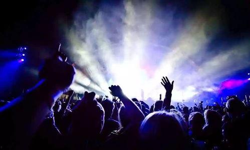 娱乐吃瓜号的背景音乐,沉浸音乐盛宴