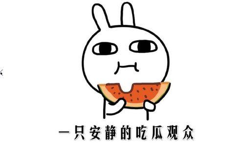 吃瓜群众在线吃瓜啥意思,吃瓜群众在线吃瓜现象背后的文化解读