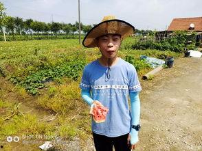 吃瓜论坛骄阳似火