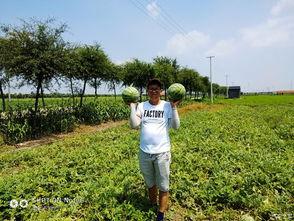 吃瓜论坛骄阳似火