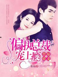 娱乐圈吃瓜短剧小说推荐