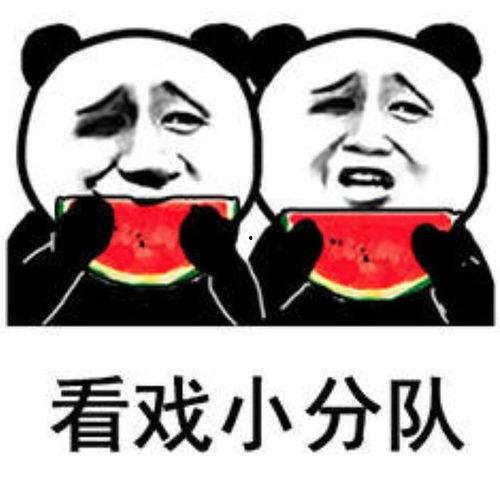 吃瓜娱乐照片