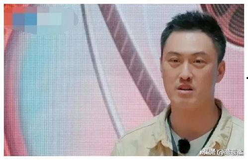 我在娱乐圈吃瓜爆红半个娱乐圈
